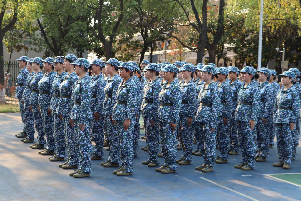 c040dde423444576a68aa89f818a9f78.png c040dde423444576a68aa89f818a9f78.png